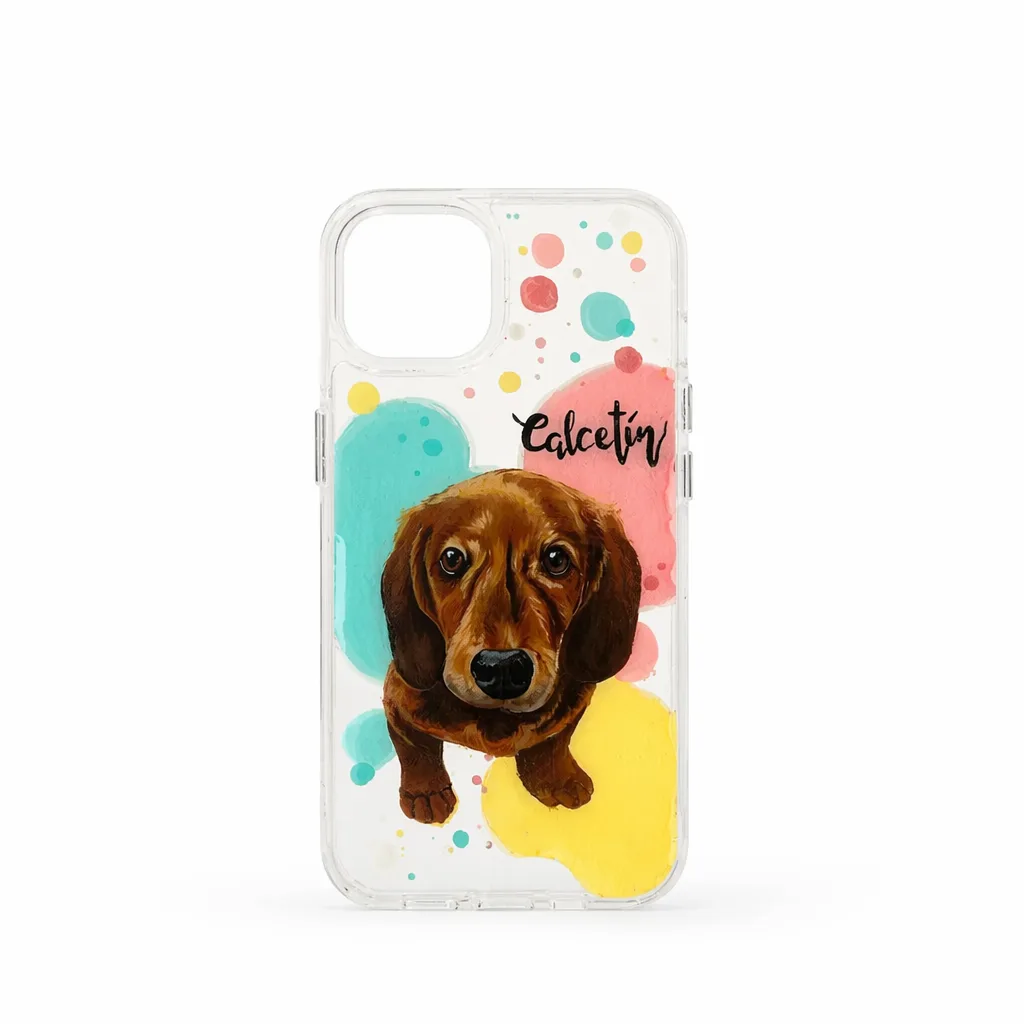 Case